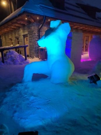 IMG-20250116-WA0020