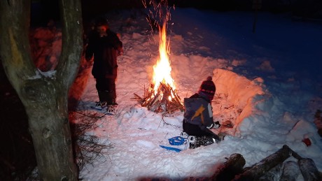 IMG-20250111-WA0029