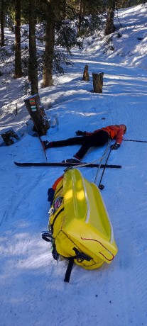IMG_20250302_095523