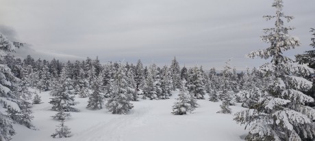 IMG_20250104_150402