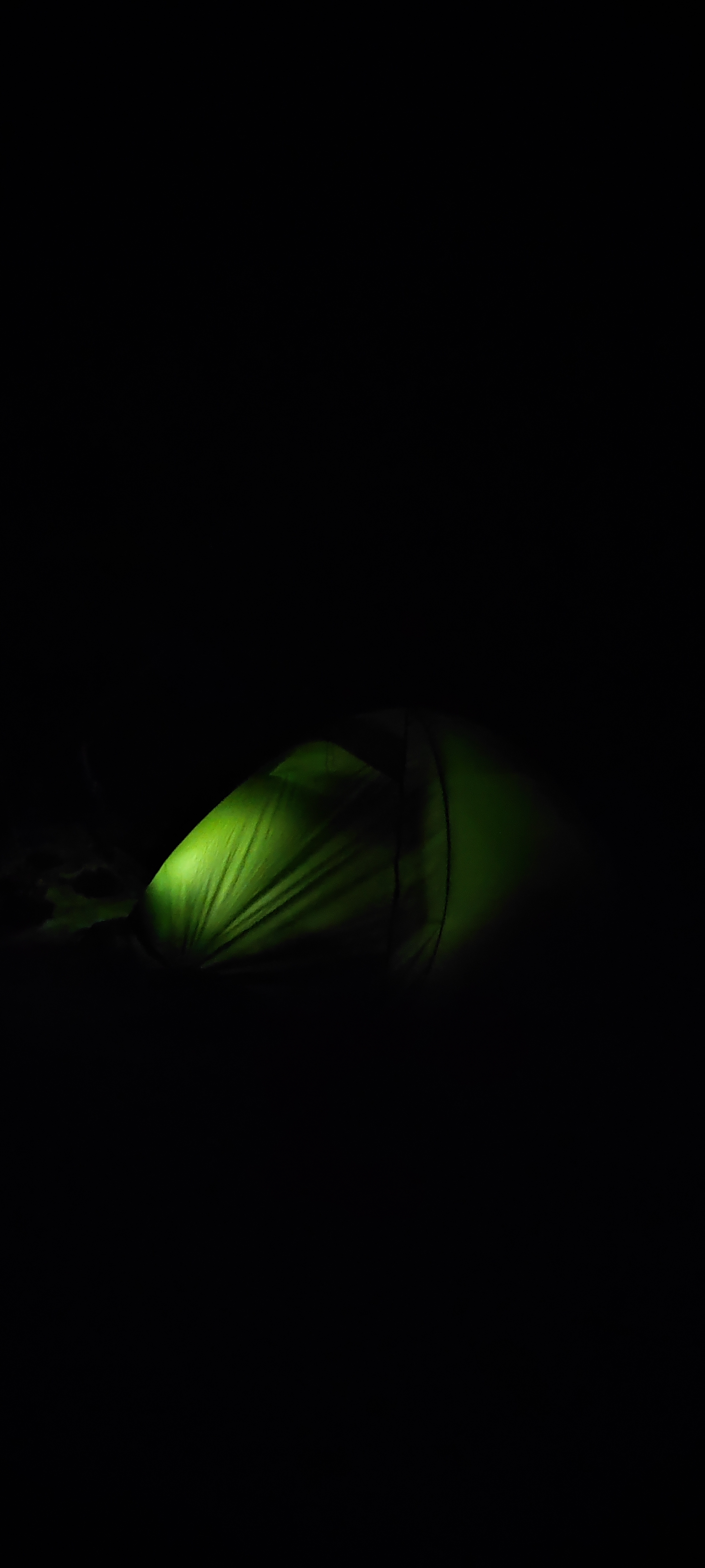 IMG_20250301_211310